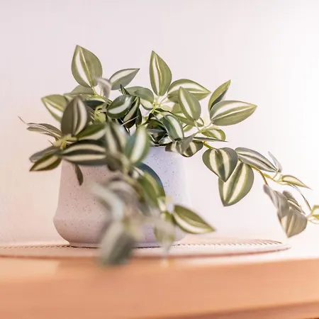 Residenz Bismarck Whg 1 * Westerland