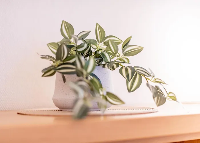 Residenz Bismarck Whg 1 * Vesterland